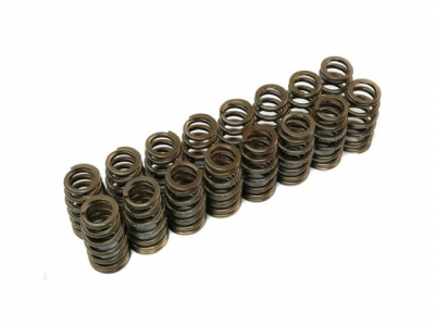 Valve springs