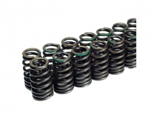 Race Valve Springs