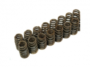 Valve springs