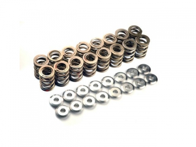 Valve springs dual